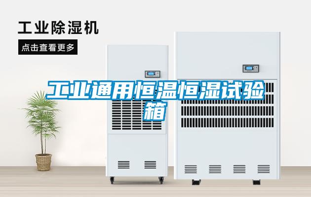 工業通用恒溫恒濕試驗箱