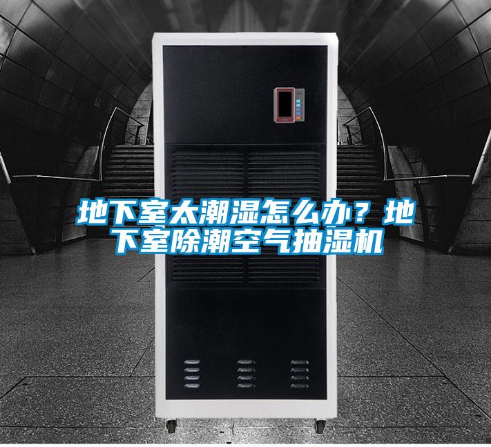 地下室太潮濕怎么辦？地下室除潮空氣抽濕機