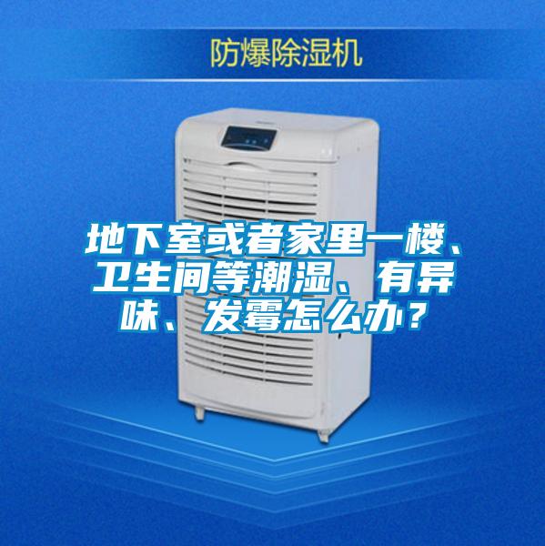 地下室或者家里一樓、衛生間等潮濕、有異味、發霉怎么辦？