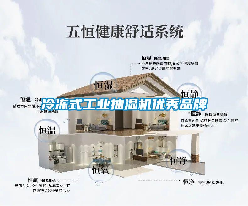 冷凍式工業抽濕機優秀品牌