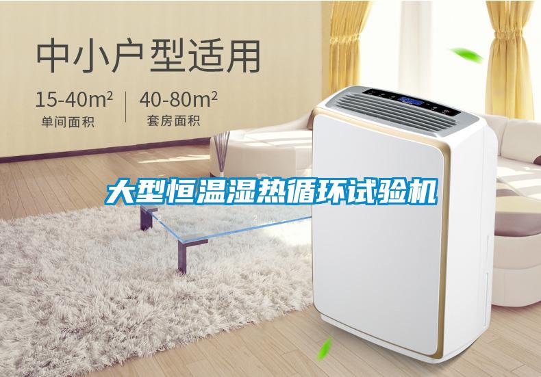 大型恒溫濕熱循環(huán)試驗(yàn)機(jī)