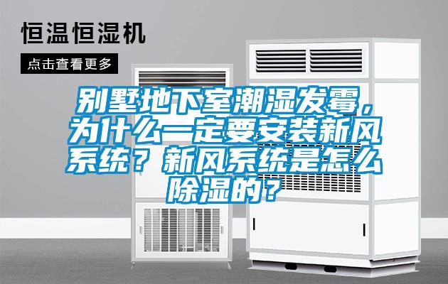 別墅地下室潮濕發霉，為什么一定要安裝新風系統？新風系統是怎么除濕的？