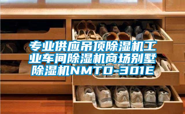 專業(yè)供應吊頂除濕機工業(yè)車間除濕機商場別墅除濕機NMTD-301E