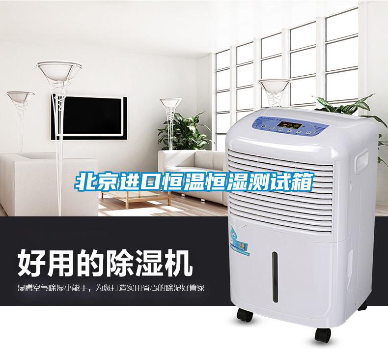 北京進口恒溫恒濕測試箱