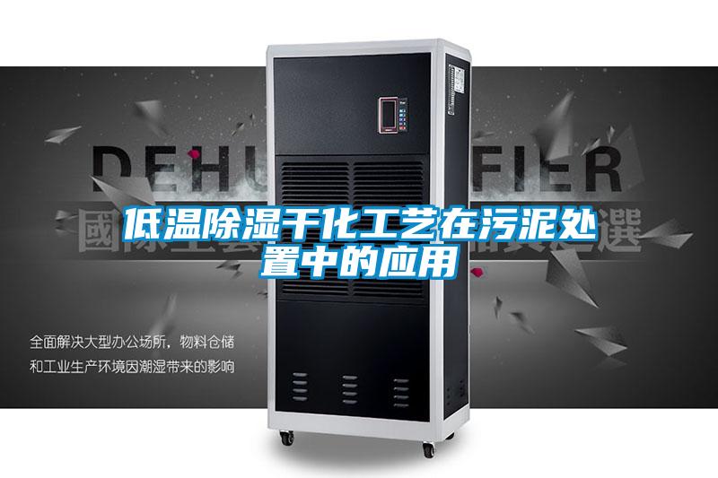 低溫除濕干化工藝在污泥處置中的應用