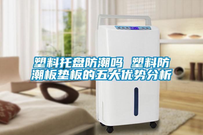 塑料托盤防潮嗎 塑料防潮板墊板的五大優勢分析