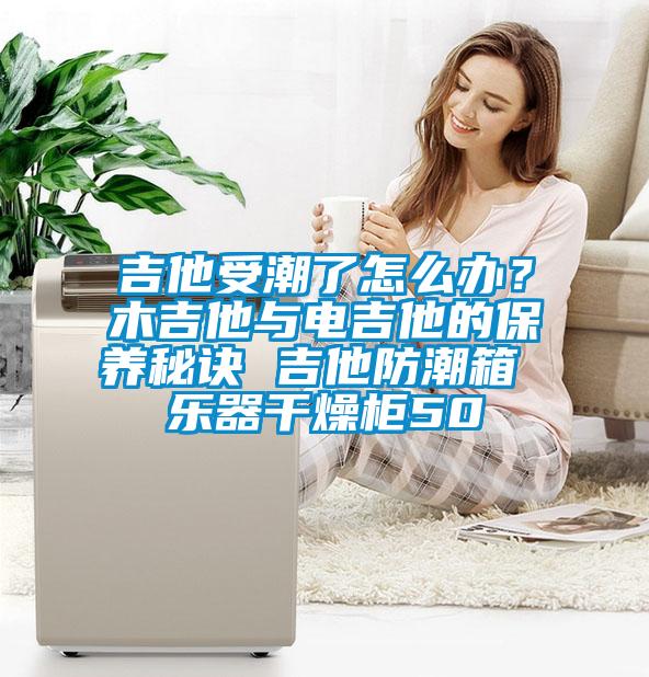 吉他受潮了怎么辦？木吉他與電吉他的保養秘訣 吉他防潮箱 樂器干燥柜50