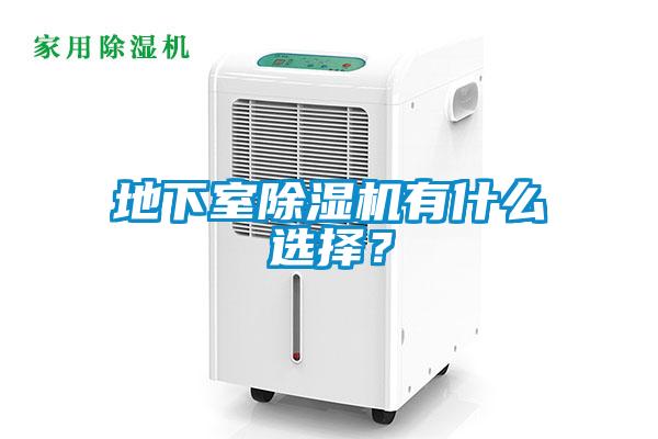 地下室除濕機(jī)有什么選擇？
