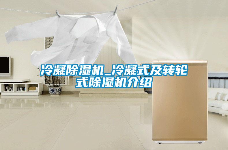 冷凝除濕機_冷凝式及轉輪式除濕機介紹