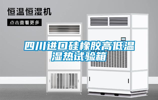 四川進口硅橡膠高低溫濕熱試驗箱
