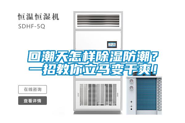 回潮天怎樣除濕防潮？一招教你立馬變干爽！