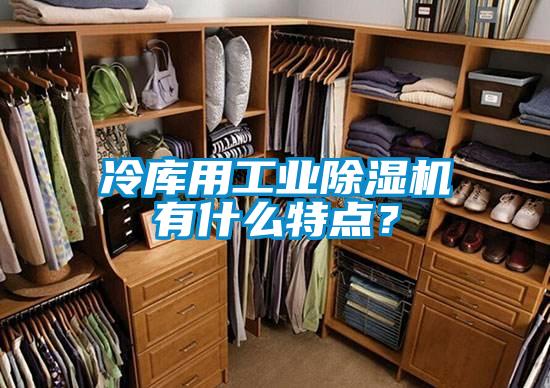 冷庫(kù)用工業(yè)除濕機(jī)有什么特點(diǎn)？