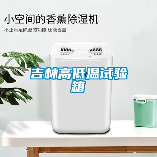 吉林高低溫試驗箱