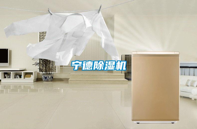 寧德除濕機(jī)