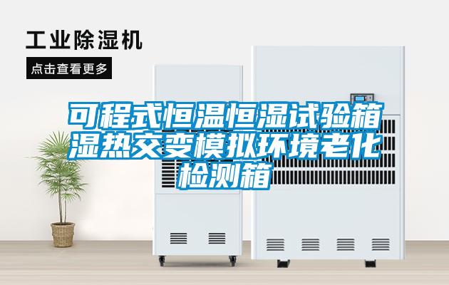 可程式恒溫恒濕試驗箱濕熱交變模擬環(huán)境老化檢測箱
