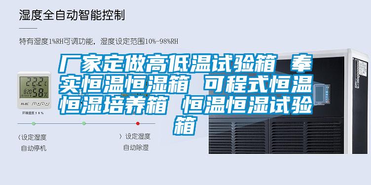 廠家定做高低溫試驗箱 奉實恒溫恒濕箱 可程式恒溫恒濕培養箱 恒溫恒濕試驗箱