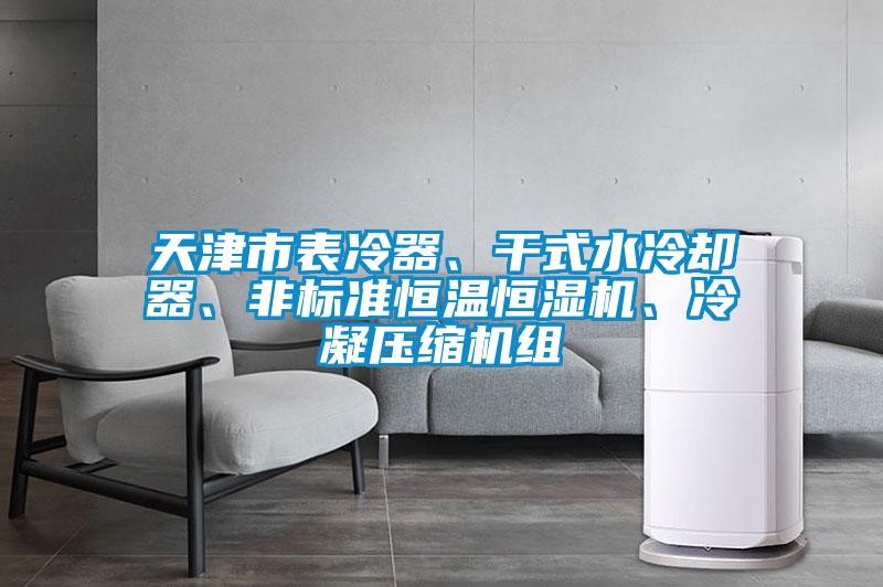 天津市表冷器、干式水冷卻器、非標準恒溫恒濕機、冷凝壓縮機組