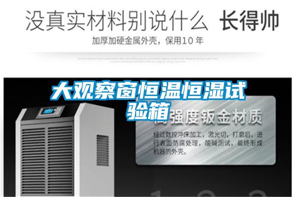 大觀察窗恒溫恒濕試驗箱