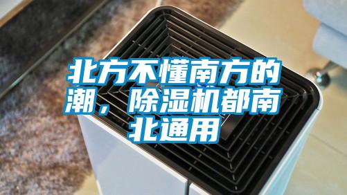 北方不懂南方的潮，除濕機都南北通用