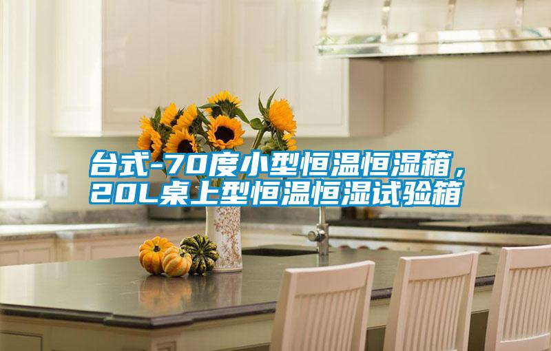 臺(tái)式-70度小型恒溫恒濕箱，20L桌上型恒溫恒濕試驗(yàn)箱
