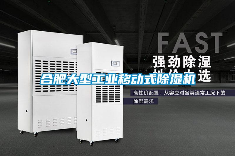 合肥大型工業移動式除濕機