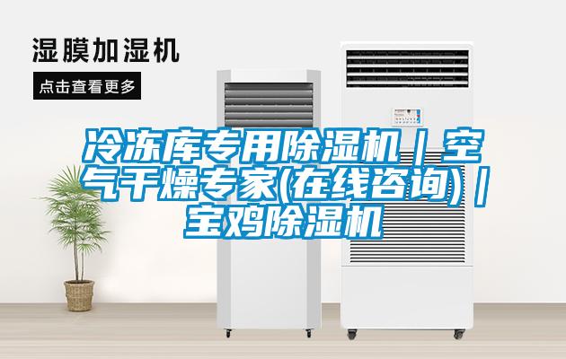冷凍庫(kù)專用除濕機(jī)｜空氣干燥專家(在線咨詢)｜寶雞除濕機(jī)