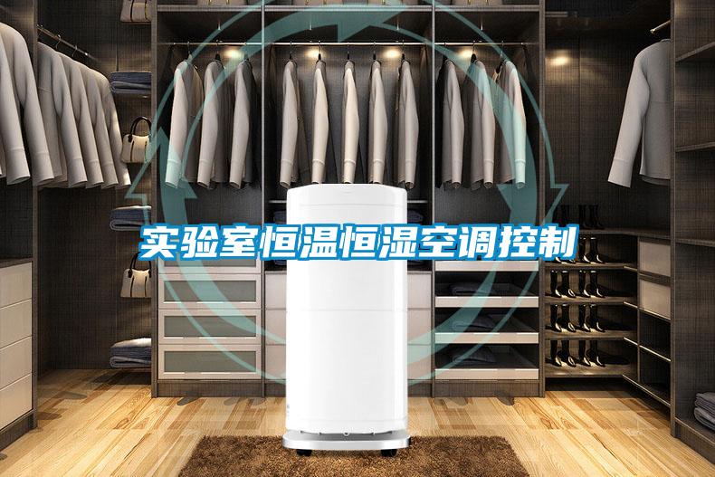 實驗室恒溫恒濕空調控制