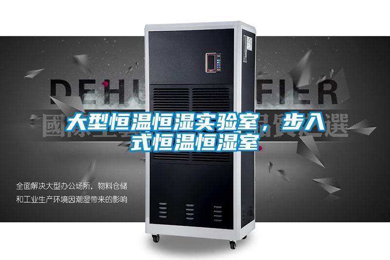 大型恒溫恒濕實(shí)驗室，步入式恒溫恒濕室