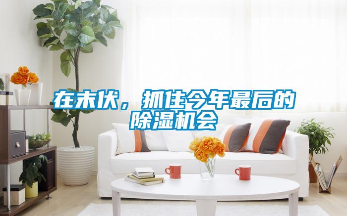 在末伏，抓住今年最后的除濕機會