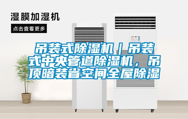 吊裝式除濕機(jī)｜吊裝式中央管道除濕機(jī)，吊頂暗裝省空間全屋除濕