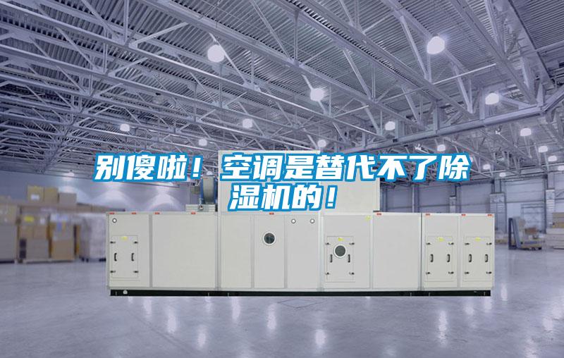 別傻啦！空調是替代不了除濕機的！
