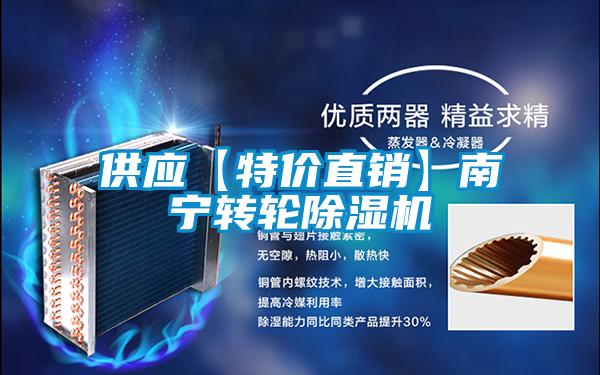 供應(yīng)【特價直銷】南寧轉(zhuǎn)輪除濕機