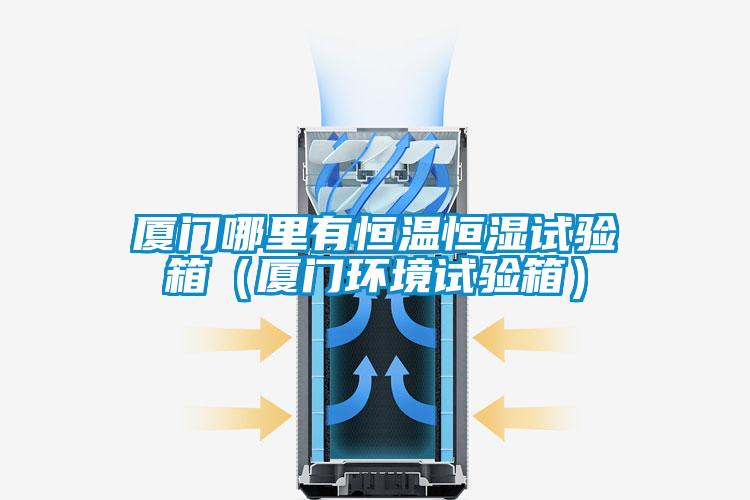 廈門哪里有恒溫恒濕試驗(yàn)箱（廈門環(huán)境試驗(yàn)箱）