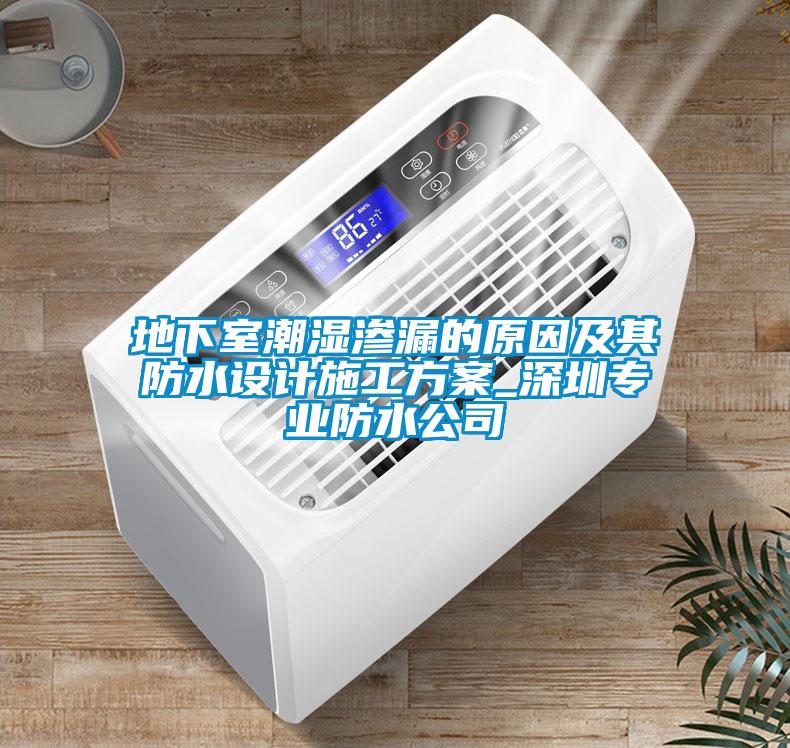 地下室潮濕滲漏的原因及其防水設(shè)計(jì)施工方案_深圳專業(yè)防水公司