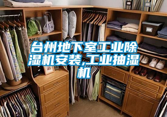 臺州地下室工業(yè)除濕機安裝,工業(yè)抽濕機