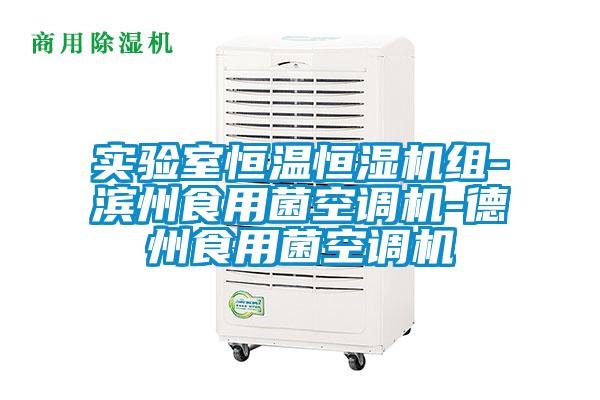 實驗室恒溫恒濕機組-濱州食用菌空調機-德州食用菌空調機