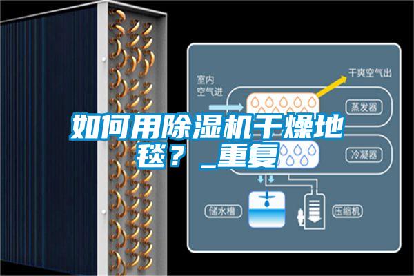 如何用除濕機干燥地毯？_重復