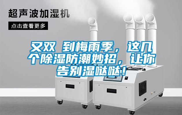 又雙叒到梅雨季，這幾個除濕防潮妙招，讓你告別濕噠噠！