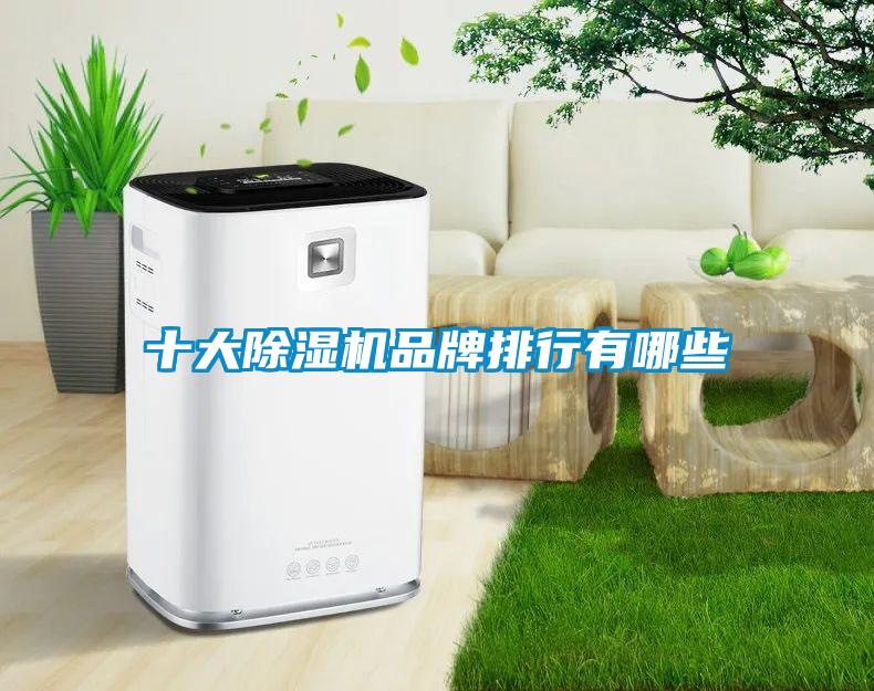 十大除濕機品牌排行有哪些