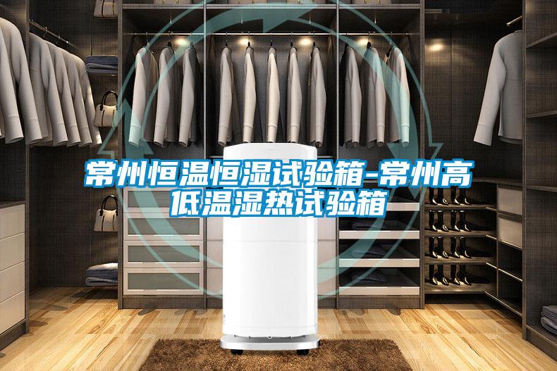 常州恒溫恒濕試驗箱-常州高低溫濕熱試驗箱