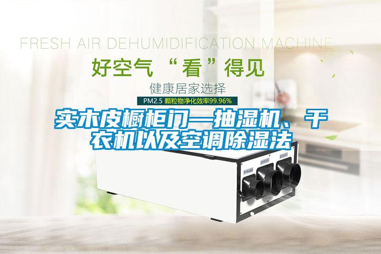 實(shí)木皮櫥柜門—抽濕機(jī)、干衣機(jī)以及空調(diào)除濕法