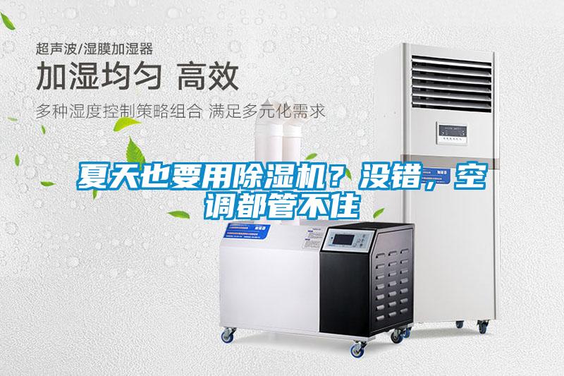 夏天也要用除濕機？沒錯，空調都管不住