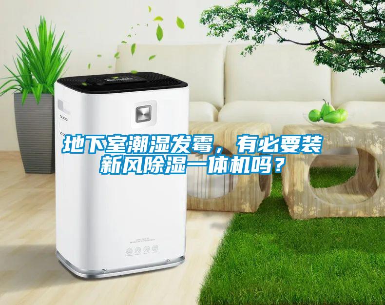 地下室潮濕發(fā)霉，有必要裝新風(fēng)除濕一體機(jī)嗎？
