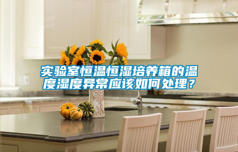 實驗室恒溫恒濕培養箱的溫度濕度異常應該如何處理？