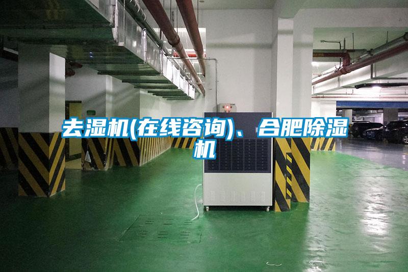 去濕機(jī)(在線咨詢)、合肥除濕機(jī)