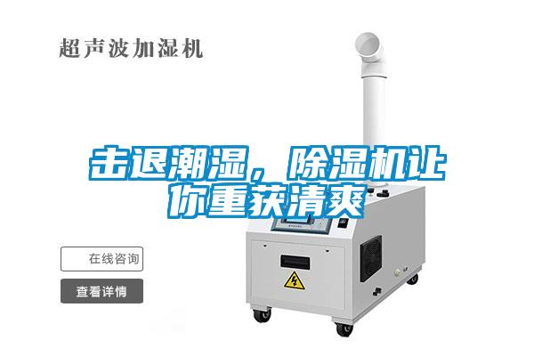 擊退潮濕，除濕機(jī)讓你重獲清爽