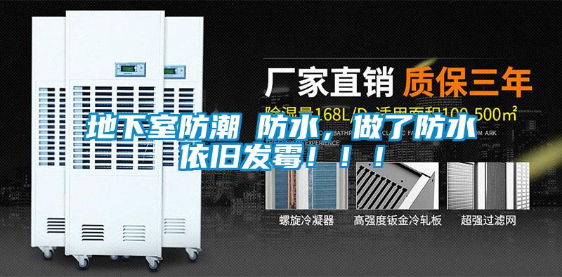 地下室防潮≠防水，做了防水依舊發霉！！！