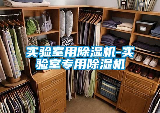 實驗室用除濕機-實驗室專用除濕機