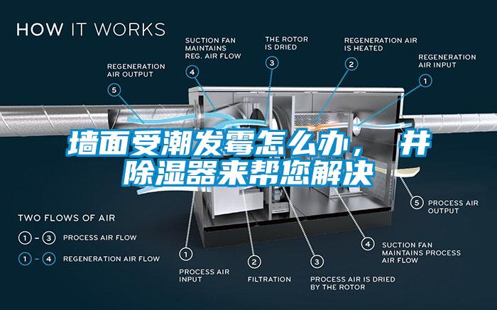 墻面受潮發霉怎么辦，東井除濕器來幫您解決