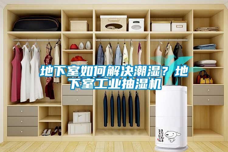 地下室如何解決潮濕？地下室工業抽濕機